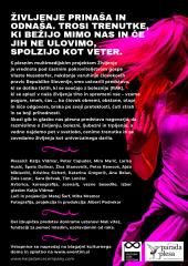 ŽJV letak Postojna 2